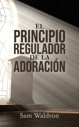 El Principio Regulador